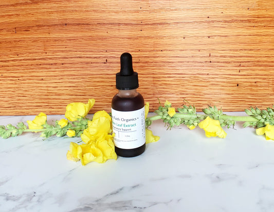 Mullein Leaf Extract