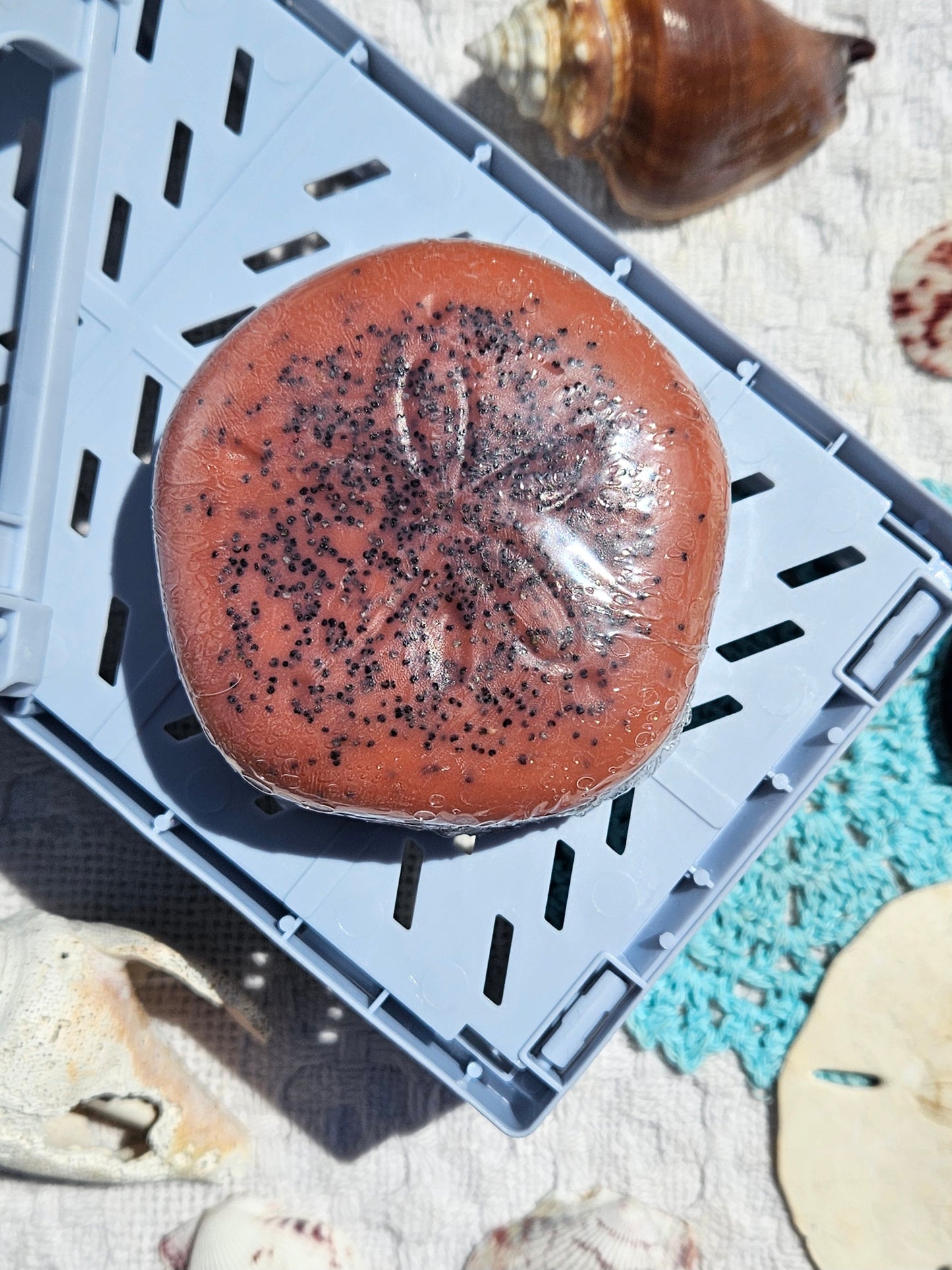 Watermelon Sugar Bar Soap