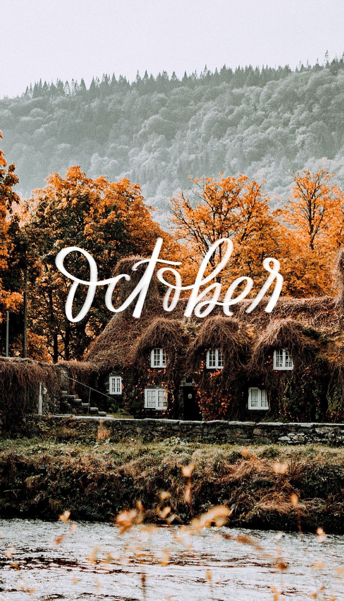 2026 Year of Embodied Mastery - October
