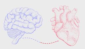 Heart Brain Connection