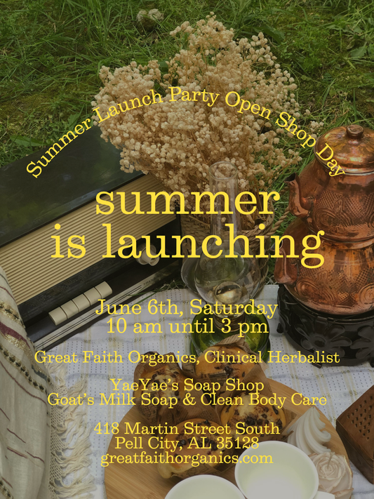 Summer Launch Shopping Day