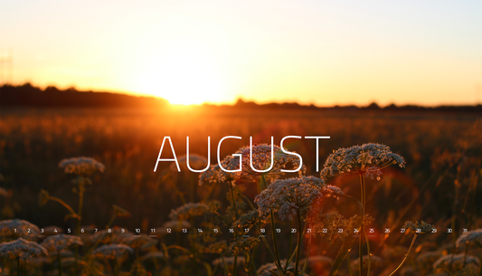 August Embodied Mastery Ritual Box