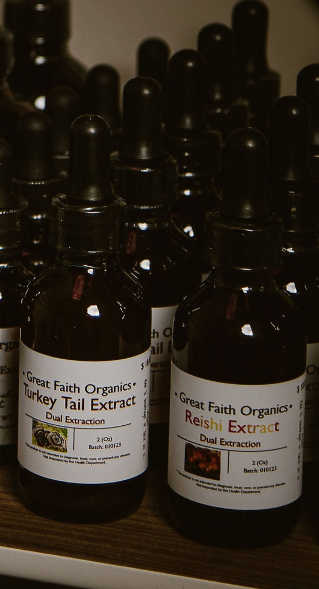 Reishi Dual Extract