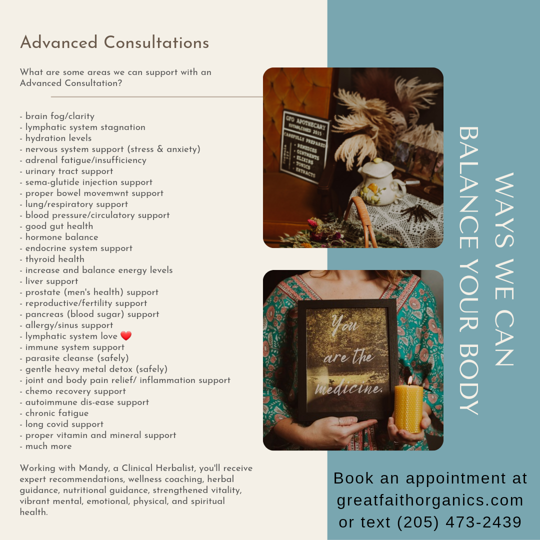 Advanced Herbal Consultation & Wellness Support