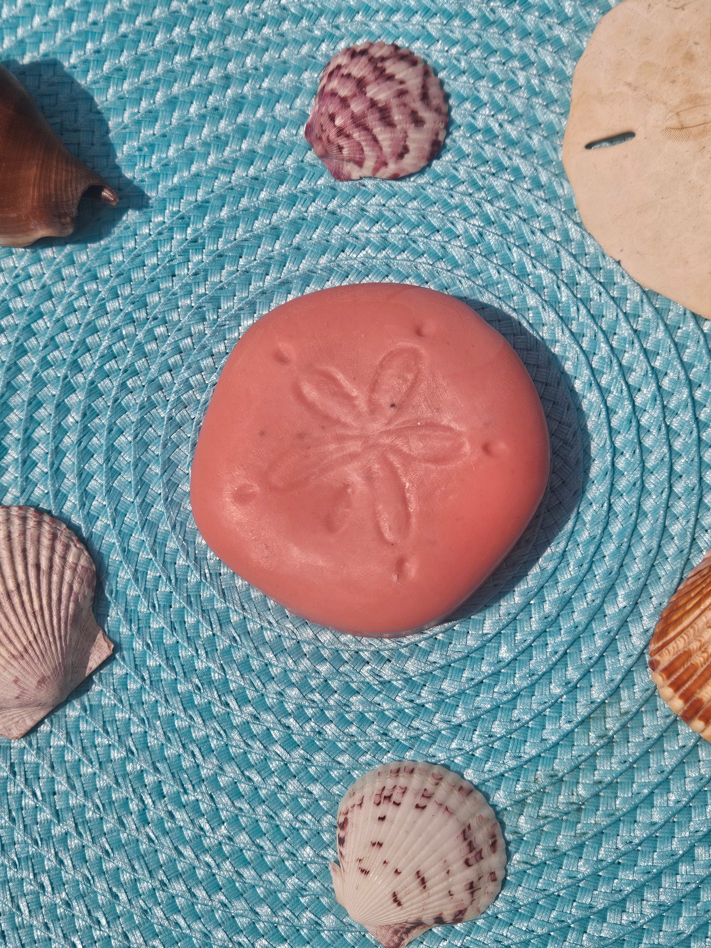 Sand Doller Collection