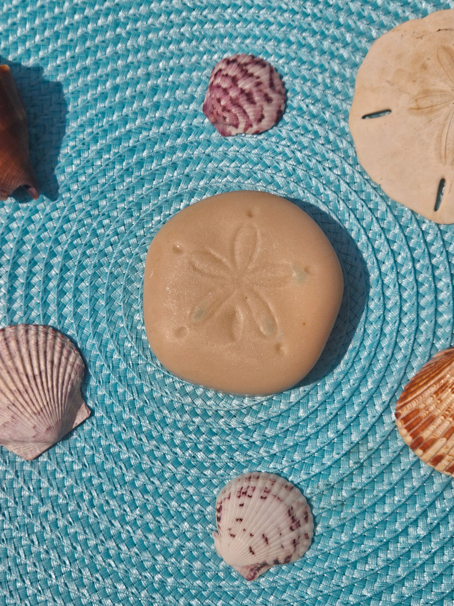 Sand Doller Collection