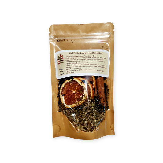 Fall Feels Simmer Pot Kit