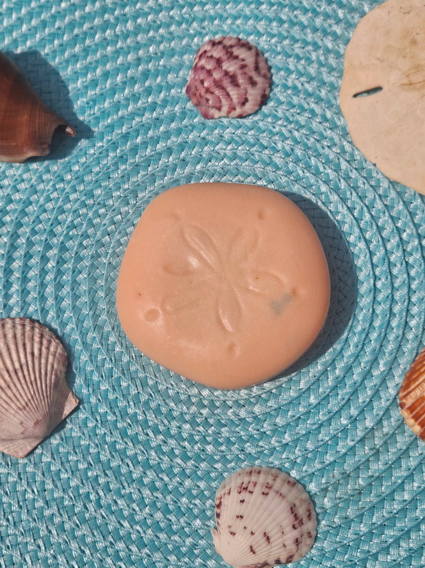 Sand Doller Collection